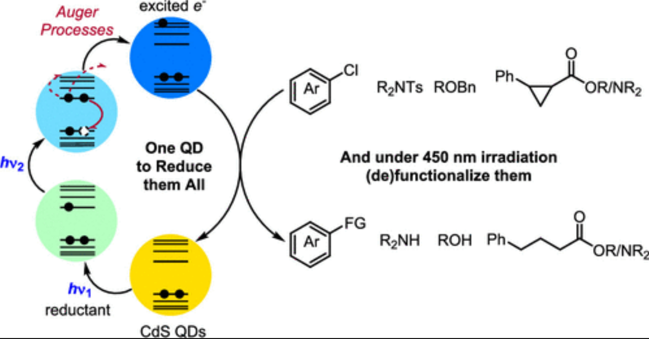 CdS Quantum Dots as Potent Photoreductants for Organic Chemistry Enabled by Auger Recombination
