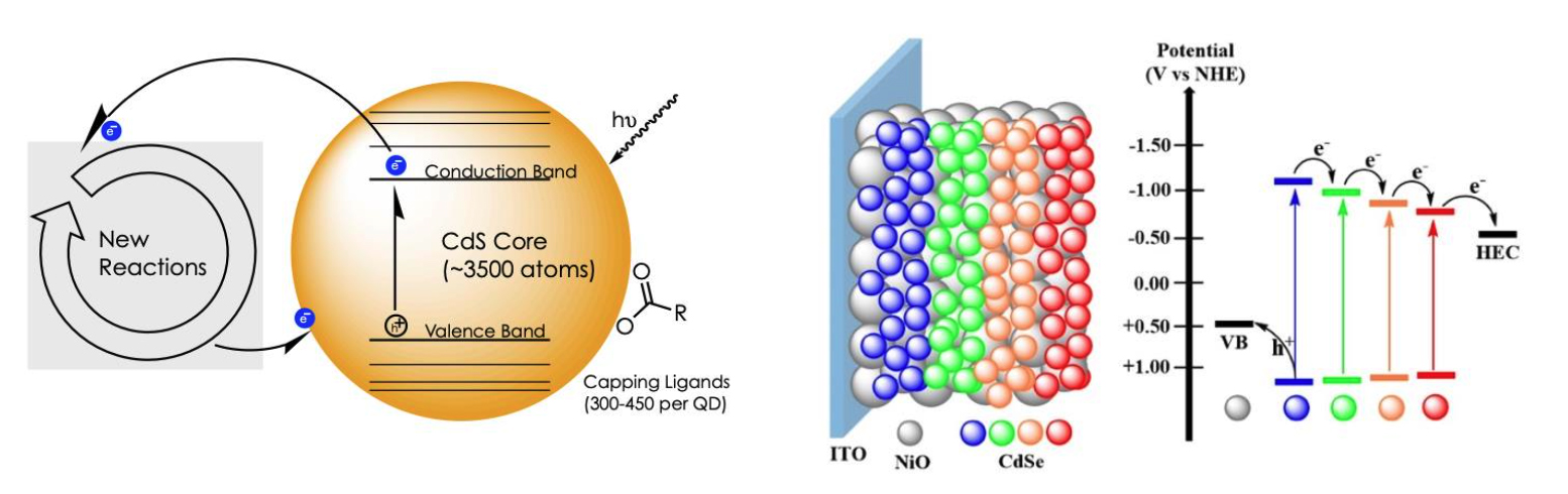 <b>(Left)</b> General  scheme  detailing  the  use  of  colloidal  QDs  as  photo-redox  catalysts  in  organic  reactions. <b>(Right)</b> A rainbow photocathode (PNAS, 2017, 114, 43, 11297-11302) as well as the corresponding energy levels of different-sized CdSe QDs and the possible electron transfer process between them.